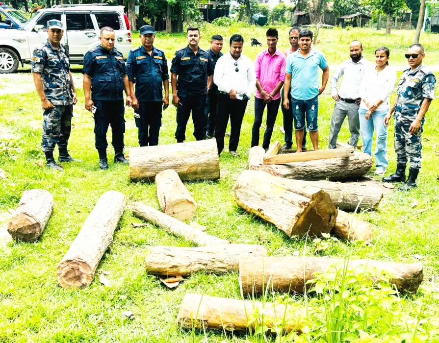 वन दोहनविरुद्ध कडा कारबाही : प्रहरीको सक्रियतामा काठ तस्करी नियन्त्रण