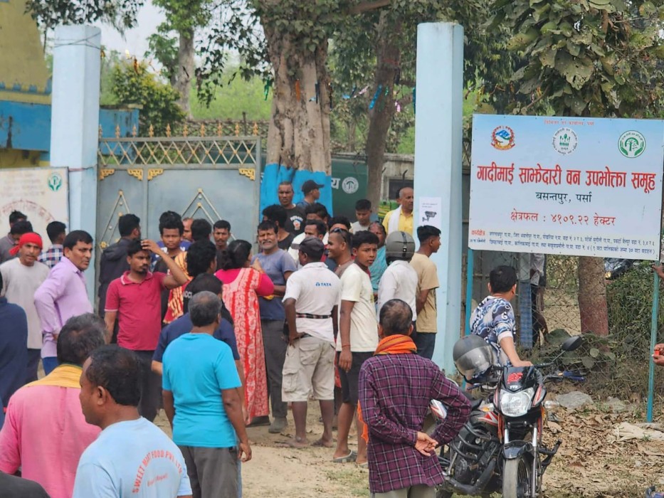 गादीमाई साझेदारी वनका अध्यक्ष गद्दीको राजीनामा माग्दै वन कार्यालय घेराउ, काठ तस्करीको आरोप