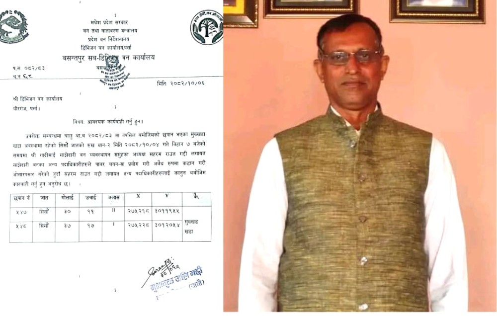 पर्सा वन कार्यालय निष्क्रिय ? अवैध रुख कटान प्रकरणमा स्थानीय अख्तियारदेखि प्रधानमन्त्रीसम्म गुहार्न बाध्य