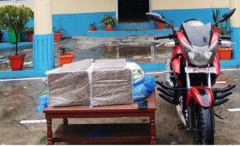 बराहक्षेत्रबाट २५ केजी गाजा बरामद, एक युवक पक्राउ