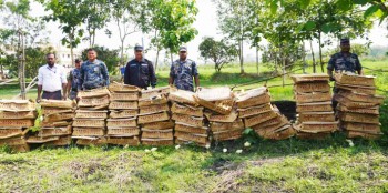 पर्सामा ७ हजार ४ सय प्रतिबन्धित ब्रोइलर कुखुराका चल्ला नष्ट