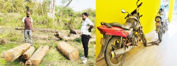 अवैध काठसहित दुई मोटरसाइकल बरामद