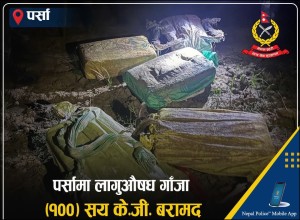 पर्सामा १०० किलोग्राम गाँजा बरामद, अनुसन्धान सुरु