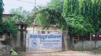 हावाहुरीले कलैयामा विद्युत् संरचनामा ठूलो क्षति