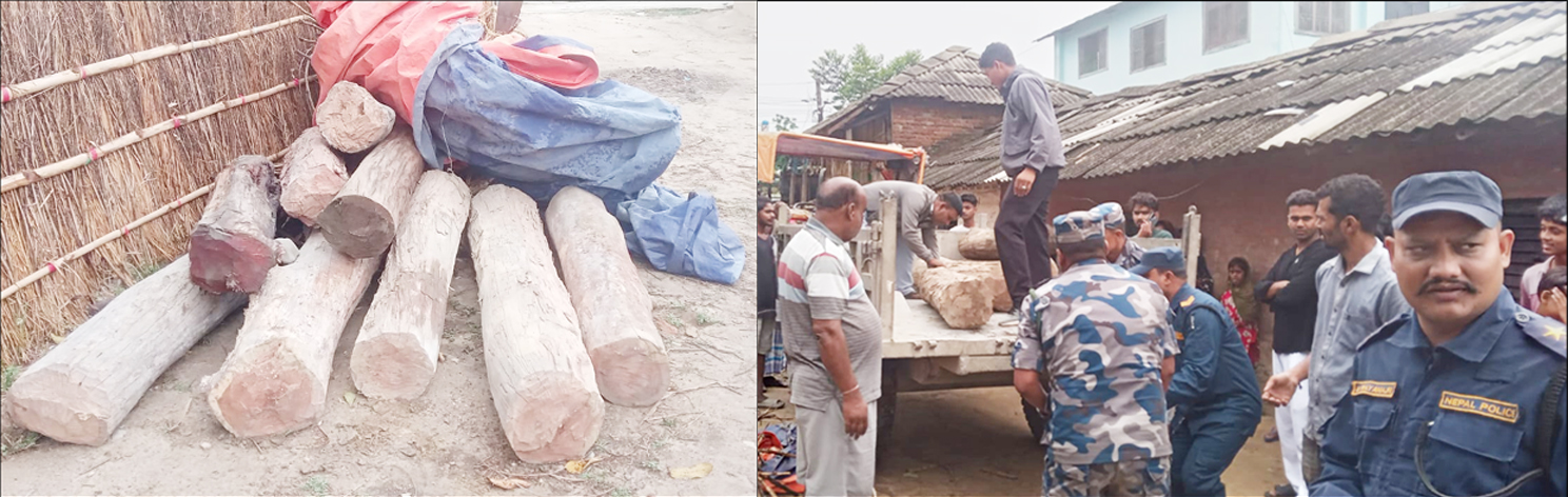 अवैध काठ र ट्याक्टरसहित  एक व्यक्ति पक्राउ, १५  लाख बढीको सामान बरामद